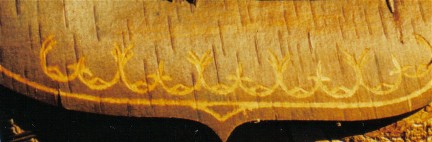 Double curve motif etched in a ''winter bark '' deck for a St. Lawrence River Malecite type birch bark canoe. Winter bark is characterized by a rind layer that sticks to bark peeled in cold weather ; the rind can be scraped away to form designs