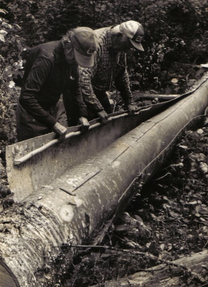 Peeling a sheet of bark for the construction of a new birchbark canoe .The ultimate durability of a birchbark canoe is greatly dependent on the quality of the birchbark ; from '' Building an Algonquin Birchbark Canoe '' ; photo Henri Vaillancourt ; Maniwaki Quebec 1980